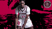 St Johns GIF by St. John's Red Storm
