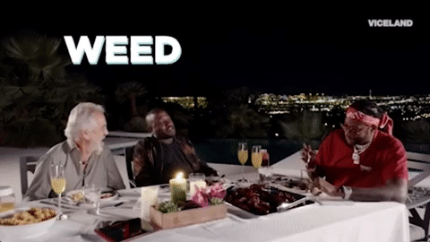 viceland GIF by MOST EXPENSIVEST