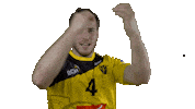VillersHandball handball tousensemble villershb villers handball Sticker
