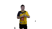 VillersHandball handball tousensemble villershb villers handball Sticker