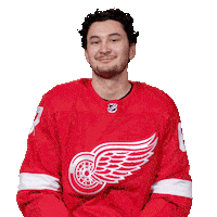 Ice Hockey Sport Sticker by Detroit Red Wings