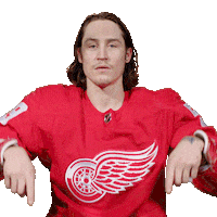Swipe Up Ice Hockey Sticker by Detroit Red Wings