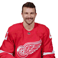 Ice Hockey Thumbs Up Sticker by Detroit Red Wings