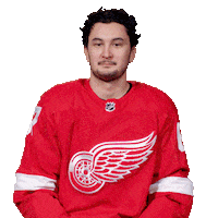 Ice Hockey No Sticker by Detroit Red Wings