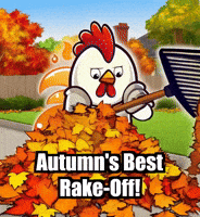 Fall Raking GIF by Zorooster