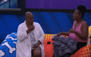 Big Brother No GIF