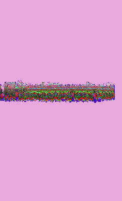 GIF by Leo Pyrata