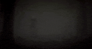 Blair Witch Ix GIF by Xbox