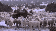 GIF by UnionDocs