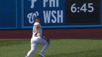 Blue Jays Baseball GIF by Toronto Blue Jays