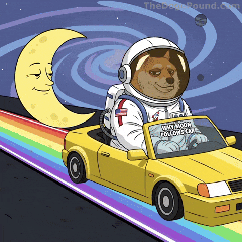 Driving To The Moon GIF by Doge Pound