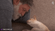 Cat Hug GIF by The Circle