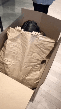 Imedia-Box GIF by Imedia firme creative