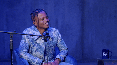 Podcast No GIF by Damez