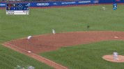 New York Mets Sport GIF by MLB