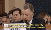 news impeachment impeachment inquiry kurt volker GIF