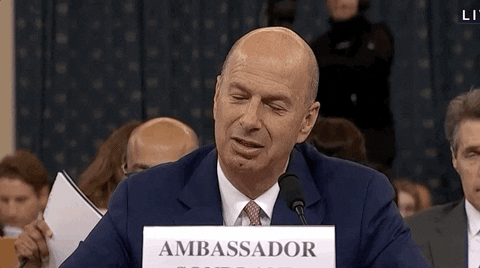 Impeachment Hearings GIF