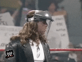 shawn michaels wrestling GIF by WWE