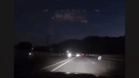 Moth Followthelight GIF