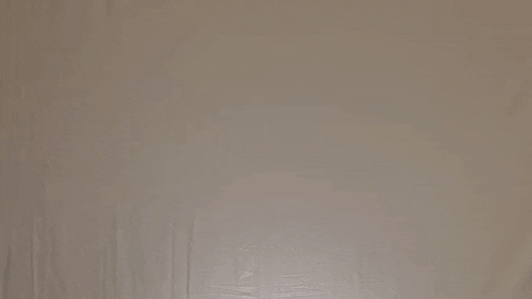 CUWFalcons giphyupload cross country cuw GIF