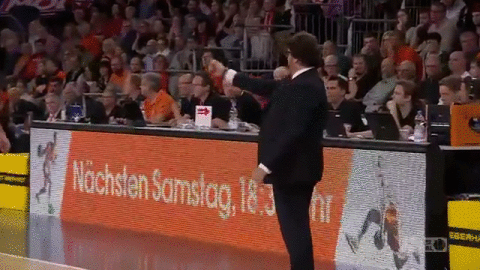 sport dunk GIF by easyCredit Basketball Bundesliga