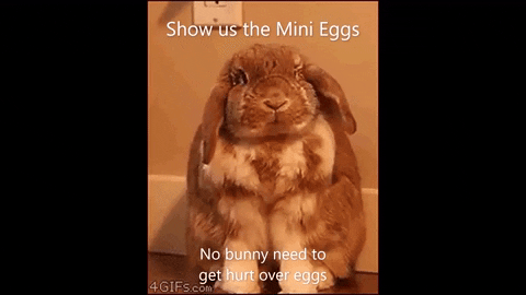 RastaSack giphyupload GIF