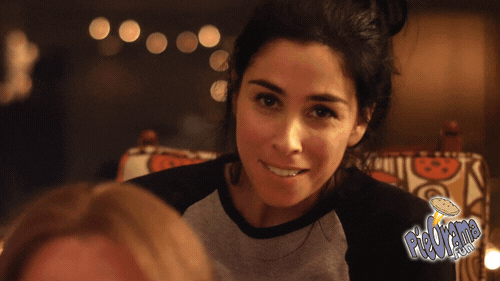 Sarah Silverman Bill Oreilly GIF by PieOrama