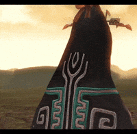 The Legend Of Zelda Gamecube GIF