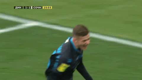 Football Celebrating GIF by FC Dynamo Moscow