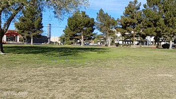 offthejacks mercury classic cars old car 1951 GIF