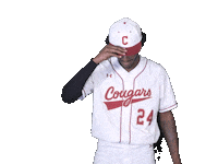 Cofcbaseball Sticker by #TheCollege