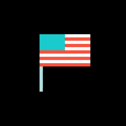 american flag america GIF by Animoto