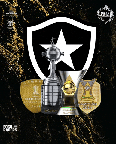 Libertadores Bfr GIF