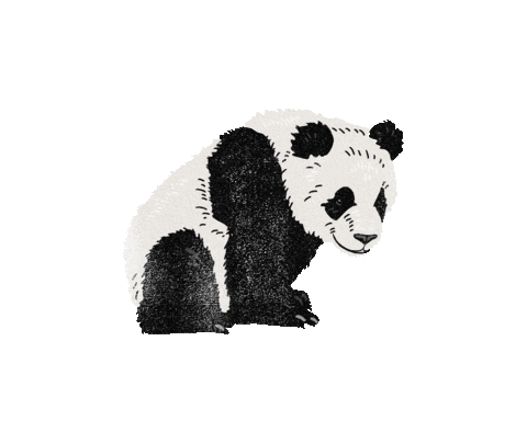 Panda Bear Sticker by Feather