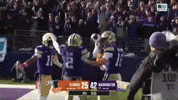 Washington Huskies GIF by Respective