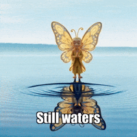 Unity Love GIF by BuddhaFlyJourney