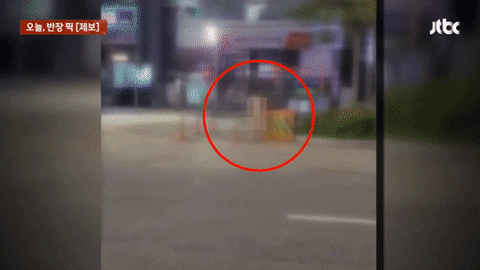 yj_jane giphyupload GIF