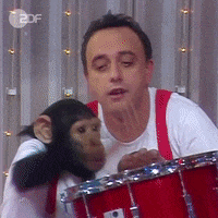 zdf zdf affe hitparade GIF