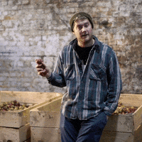 wearehawkes theo apples GIF