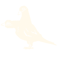 Pigeon Masks Sticker by Virtue Worldwide