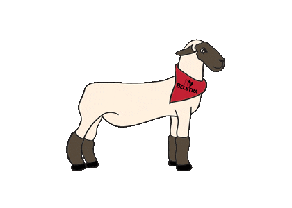 Sheep Sticker by Belstra Milling Company
