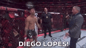 Mixed Martial Arts Sport GIF by UFC