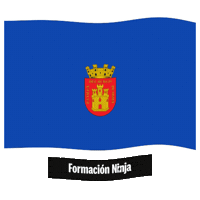 Castilla Y Leon Bandera Sticker by Formación Ninja