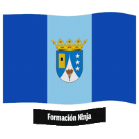Castilla Y Leon Flag Sticker by Formación Ninja