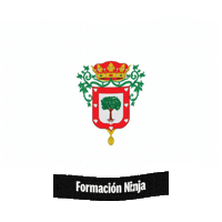 Castilla Y Leon Bandera Sticker by Formación Ninja