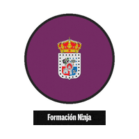 Flag Spain Sticker by Formación Ninja