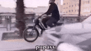 Morocco GIF