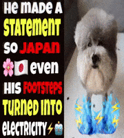 Japan Turning GIF