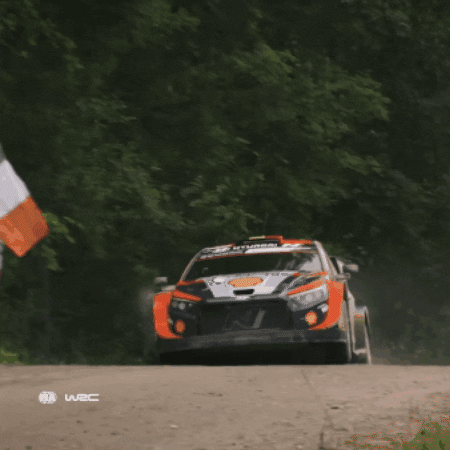 Driving Jumping Car GIF by FIA World Rally Championship