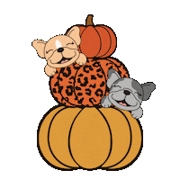 Fall Ffb Sticker by frenchiefriendsbrand